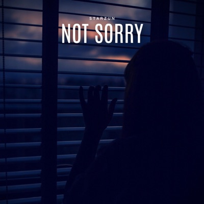 Not Sorry - Single