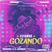 ESTAMOS GOZANDO (feat. Jairo The Masta) - Single - Jaeluna La Mata