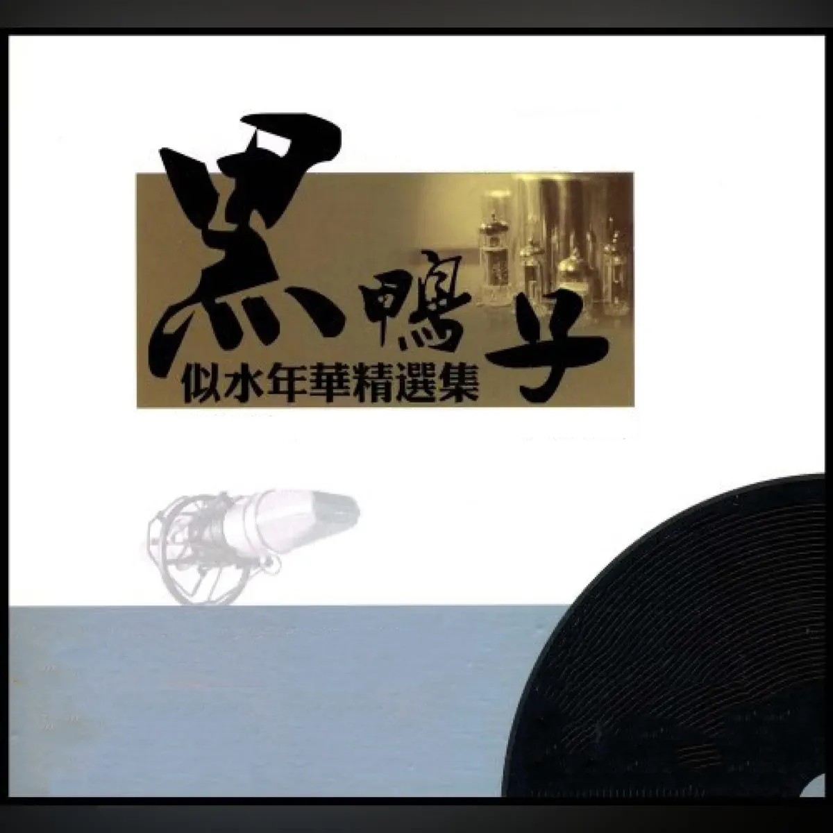 黑鴨子 - 似水年华精选集 Vol.1 (2023) [iTunes Plus AAC M4A]-新房子
