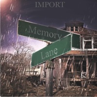 Memory Lane - Single - Import