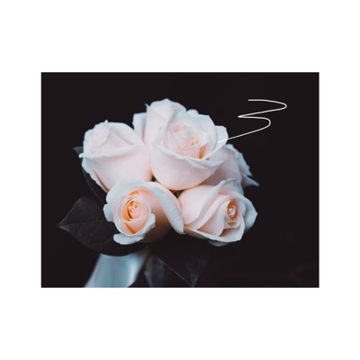 Kiss the Sky (feat. 3D) - Single