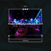 Havana X la Colegiala (Remix) artwork