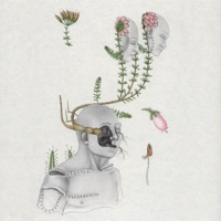 Coiled Souls - øjeRum