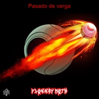 Pasado de Verga - Single - Plonney Roth