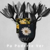 Pa Poderte Ver (feat. juliocesar) artwork