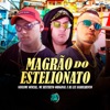 Magrão do Estelionato (feat. SPACE FUNK) - Single