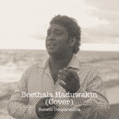 Seethala Haduwakin (Cover) artwork