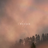 I Wonder - Single - Narrow Skies