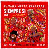 Siempre Si (feat. Brenda Navarrete) [Live at Royal Albert Hall - BBC Proms] artwork