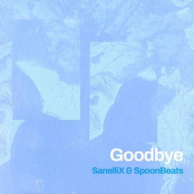 Goodbye - Single