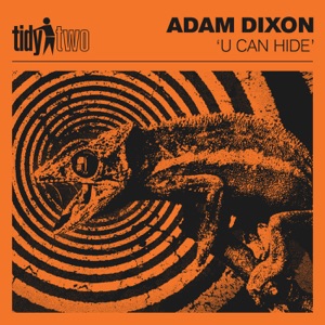U Can Hide - Single