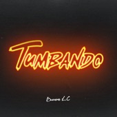 Tumbando - Remix (feat. L-Gante) artwork