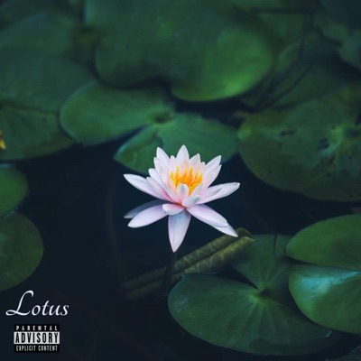 Lotus - Single