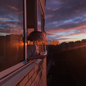 Won't Love You Tonight (Instrumental)