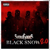 Black Snow 2.0 (feat. Apathy, Sicknature, Celph Titled & Ill Bill) artwork