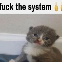 im retarted - Single - Dxrian