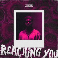 Reaching You - Single - Jandro