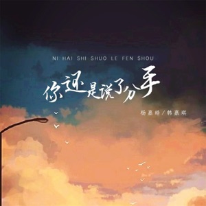 你还是说了分手 - Single