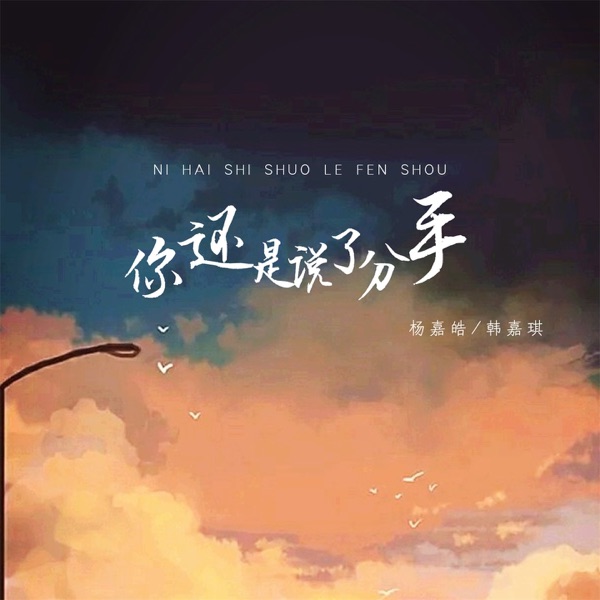 你还是说了分手 - Single
