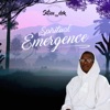 Spiritual Emergence - Single