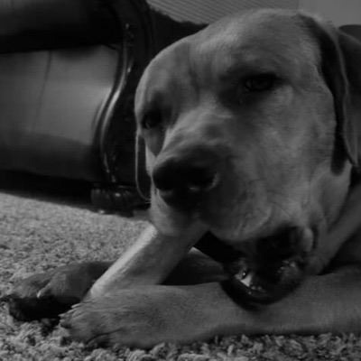 Good Eats (feat. J.Sol & KJ the Cool Nerd) - Single