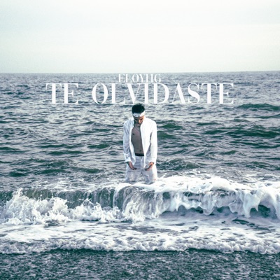 Te Olvidaste - Single