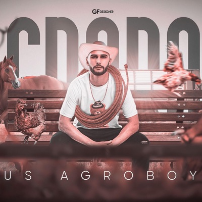 MEGA FUNKNEJO - US AGROBOY - Single