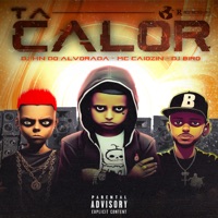 Ta Calor (feat. Dj Hn do Alvorada) - Single - MC Caiozin & Dj Biro
