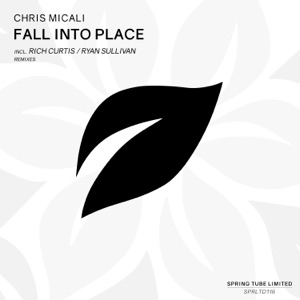 Fall into Place - Single
