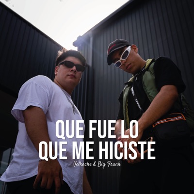 ¿Qué Fue Lo Que Me Hiciste? (feat. V3lkache) - Single