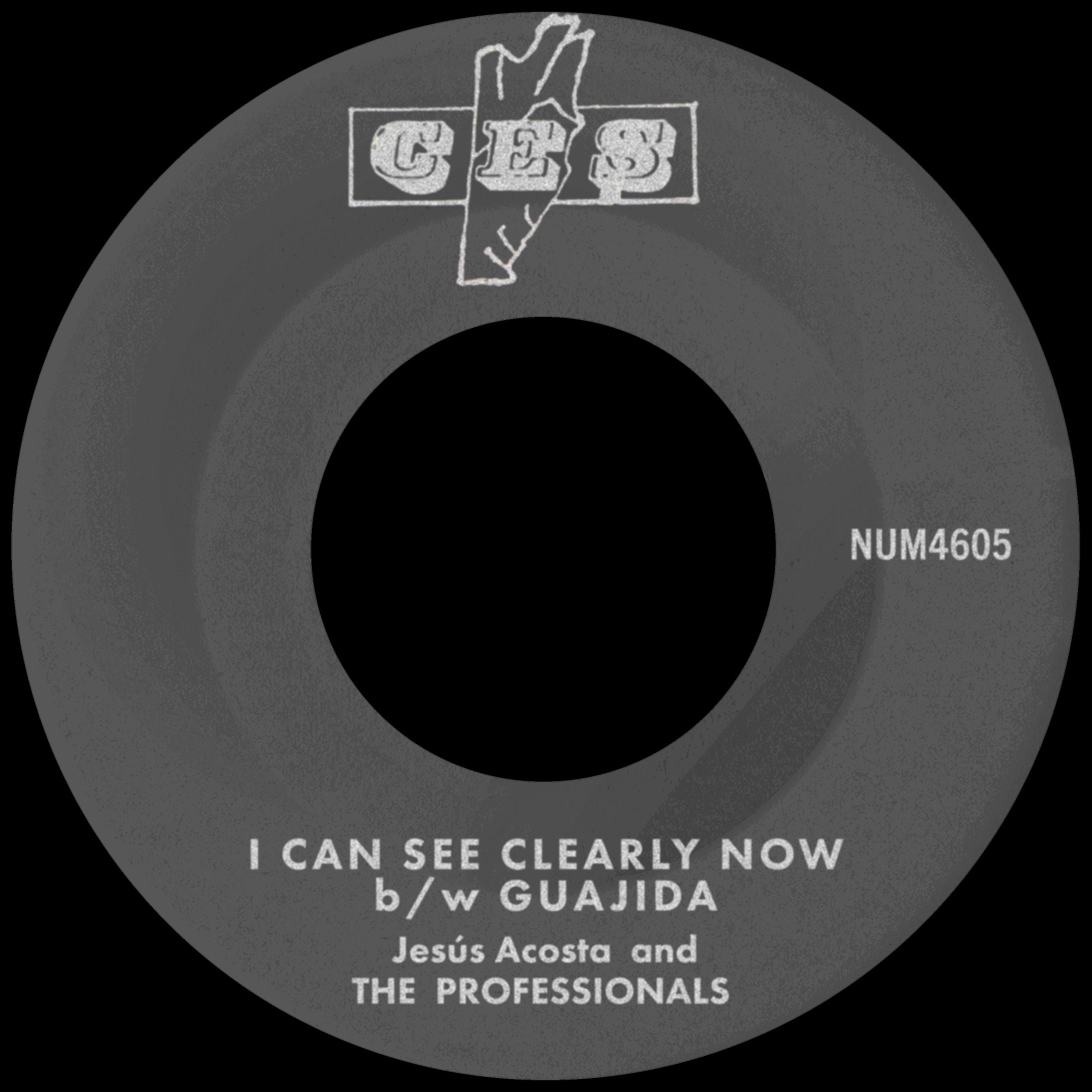 I Can See Clearly Now b/w Guajida - Single