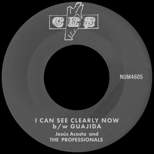 I Can See Clearly Now b/w Guajida - Single