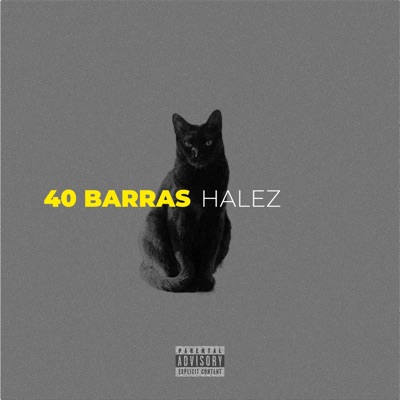40 BARRAS - Single