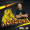 Acoisona, Vol. 18