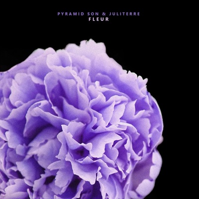 Fleur (feat. Juliterre) - Single
