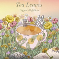 Tea Leaves - EP - Nogymx & Hoffy Beats