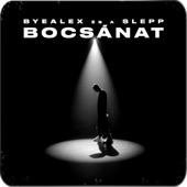 bocsánat artwork