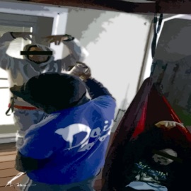 Go Crazy +(Sped Up) Raymos