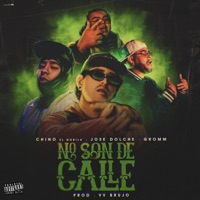No Son De Calle (feat. Gromm, José Dolche & VV brujo) - Single - Chino El Gorila
