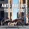 Ant War artwork