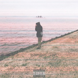 Manifest Shit Always November & Rellim