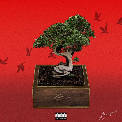 BONSAI - Single