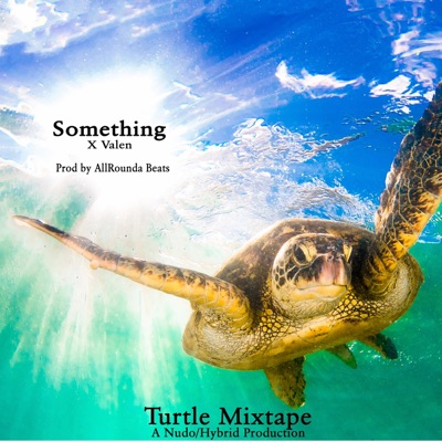 Something (feat. Valen & AllRounda Beats) - Single