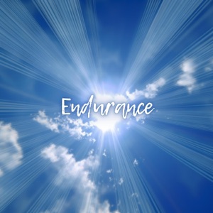 Endurance - EP