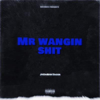 Mr Wangin Shit - Single