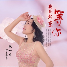 我在北京等你 (女版) 歌一生