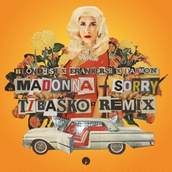 Sorry (feat. Eran Hersh & Darmon) [Tibasko Remix]