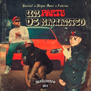 Un Party de Malianteo (feat. FVBIIAN)