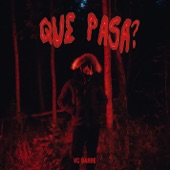 Que Pasa? artwork