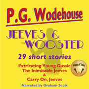 Jeeves and Wooster: 29 Short Stories (Unabridged)